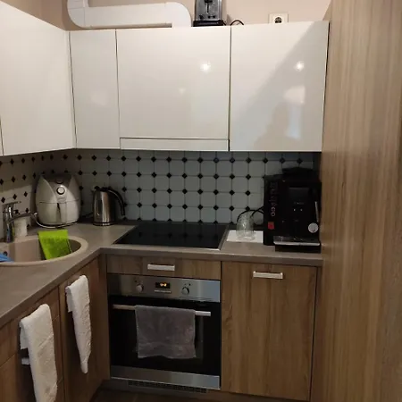 Butas Centre Self-check In Lejlighed Vilnius