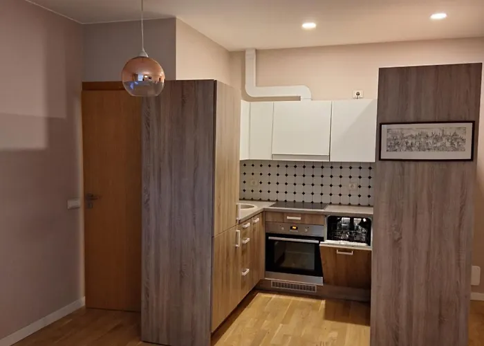 Butas Centre Self-check In Apartment